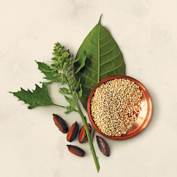 WHY IS QUINOA GOOD FOR YOU?