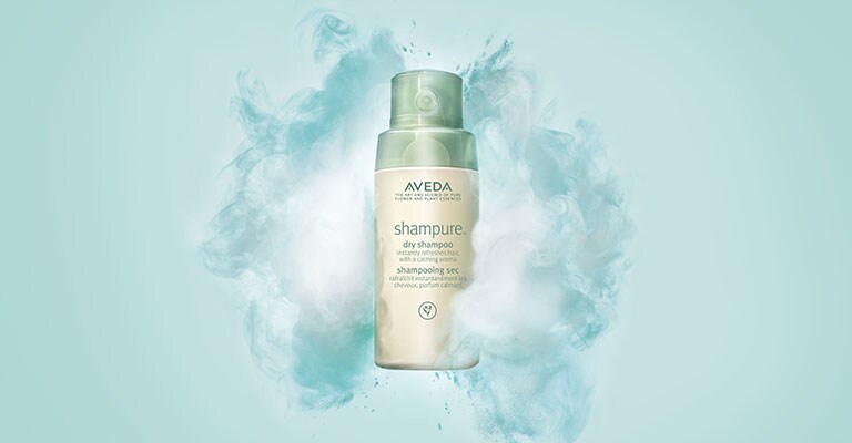 shampure dry shampoo