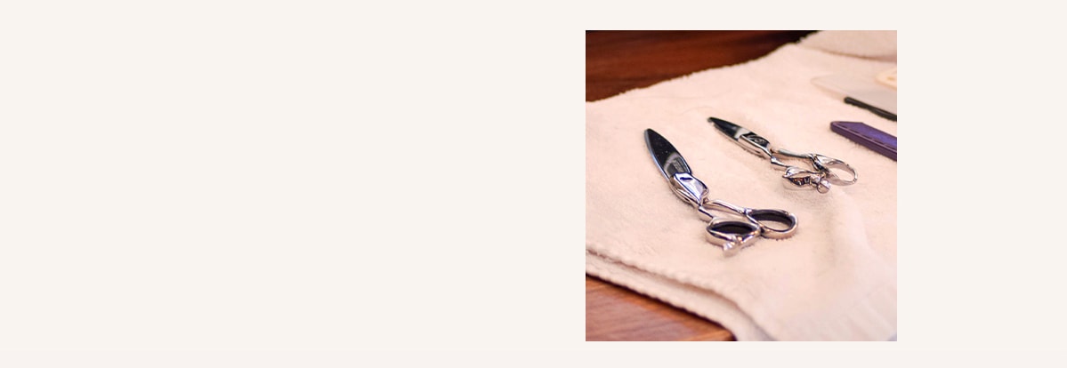 Click to learn more about Aveda hair color