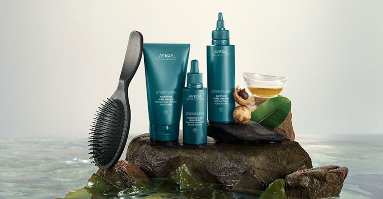Purify your scalp. Help boost it's resilience with the pramasana system.