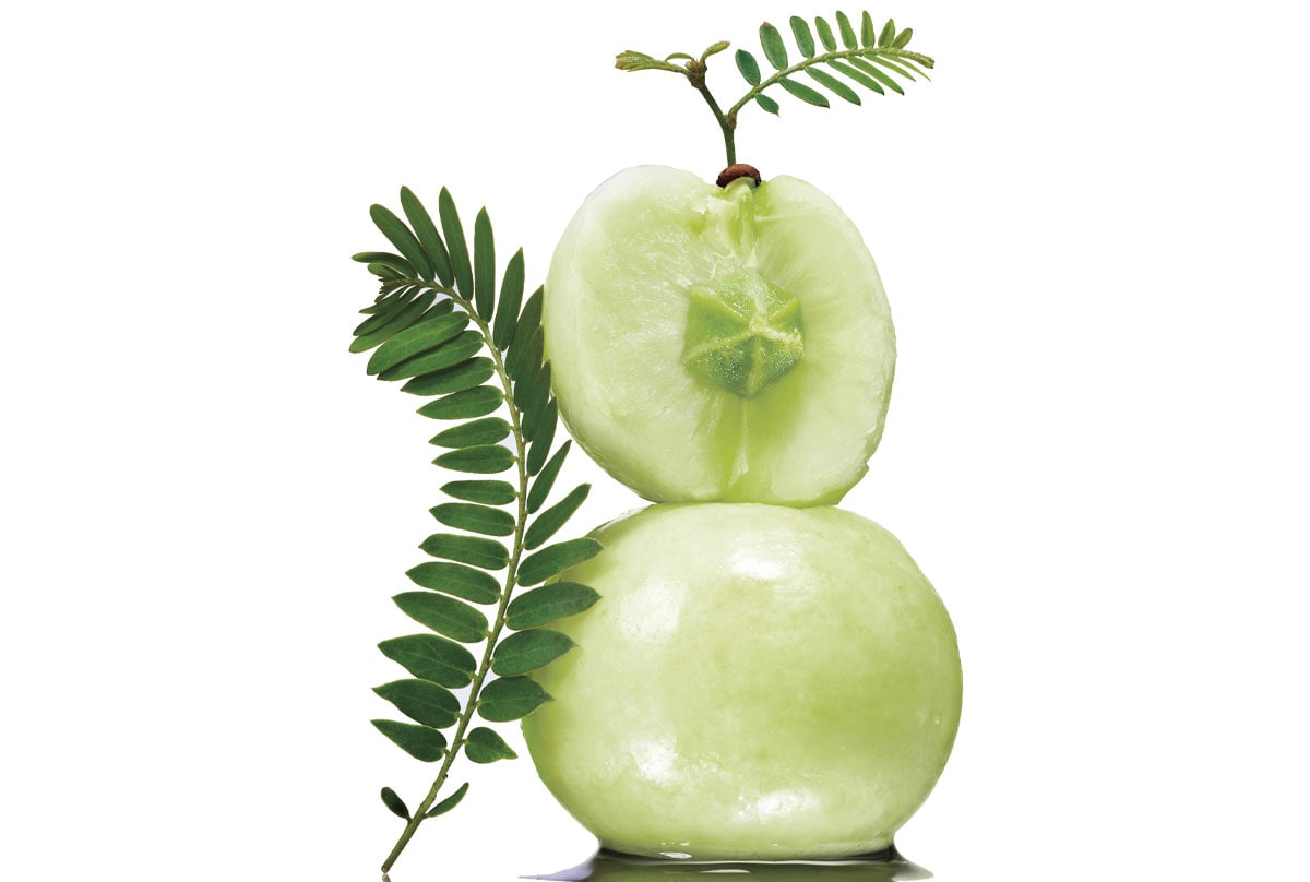 Learn more about amla fruit extract