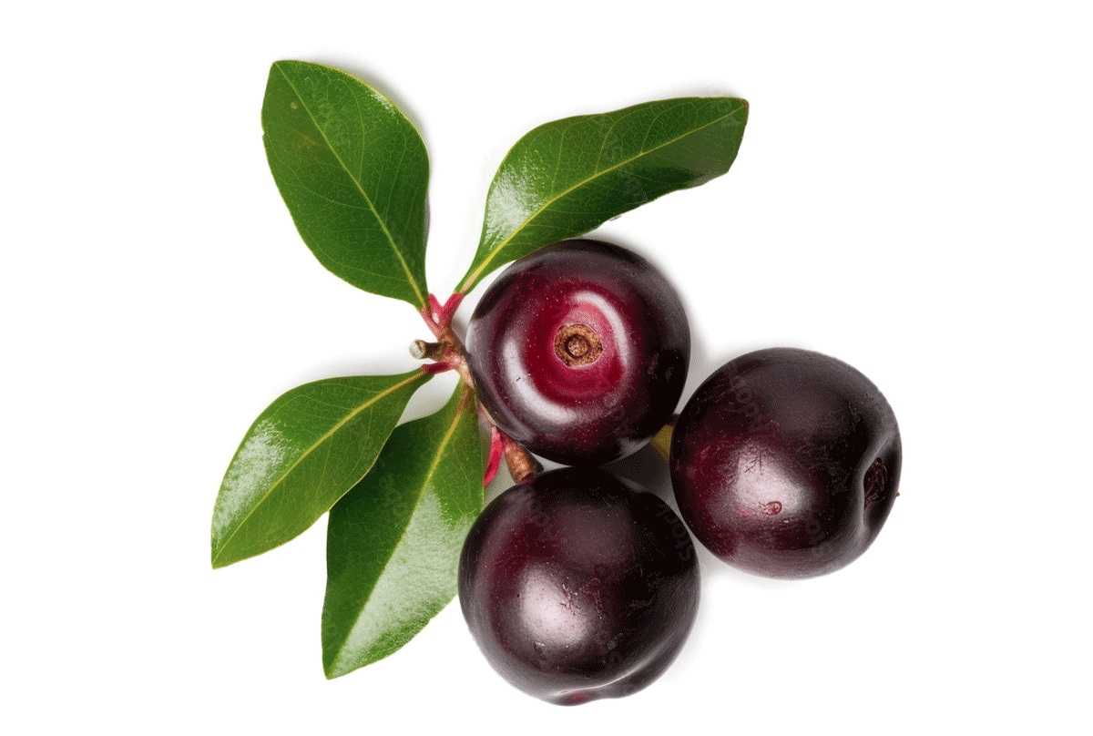 Learn more about kokum seed butter