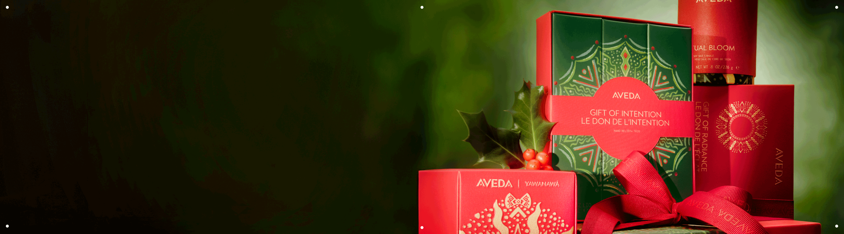 Learn more about the Aveda 2025 holiday gift collection.