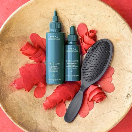 Aveda Scalp Care