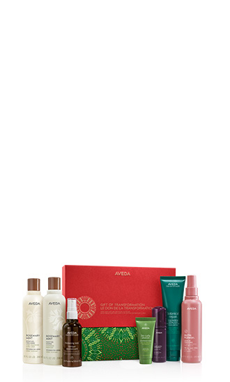 Gift of Transformation Hair Care & Styling Icons Set, SET