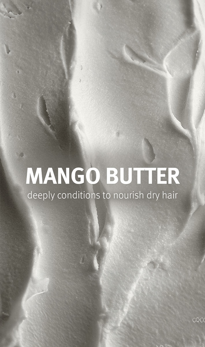 nutriplenish™ hydrating hair system - light 