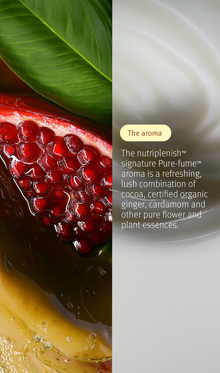 nutriplenish™ hydrating hair system - light 