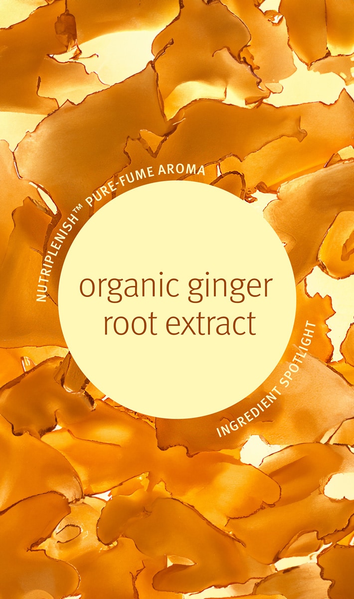 nutriplenish™ hydrating hair system - light 