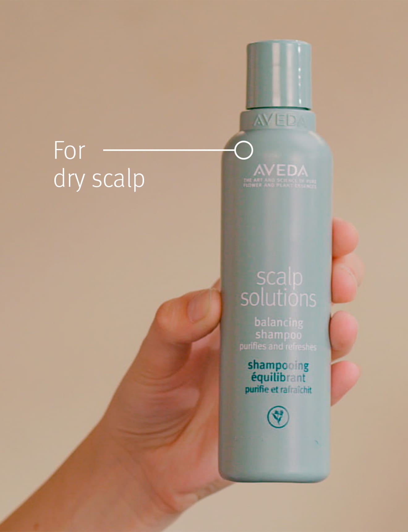 scalp solutions set
