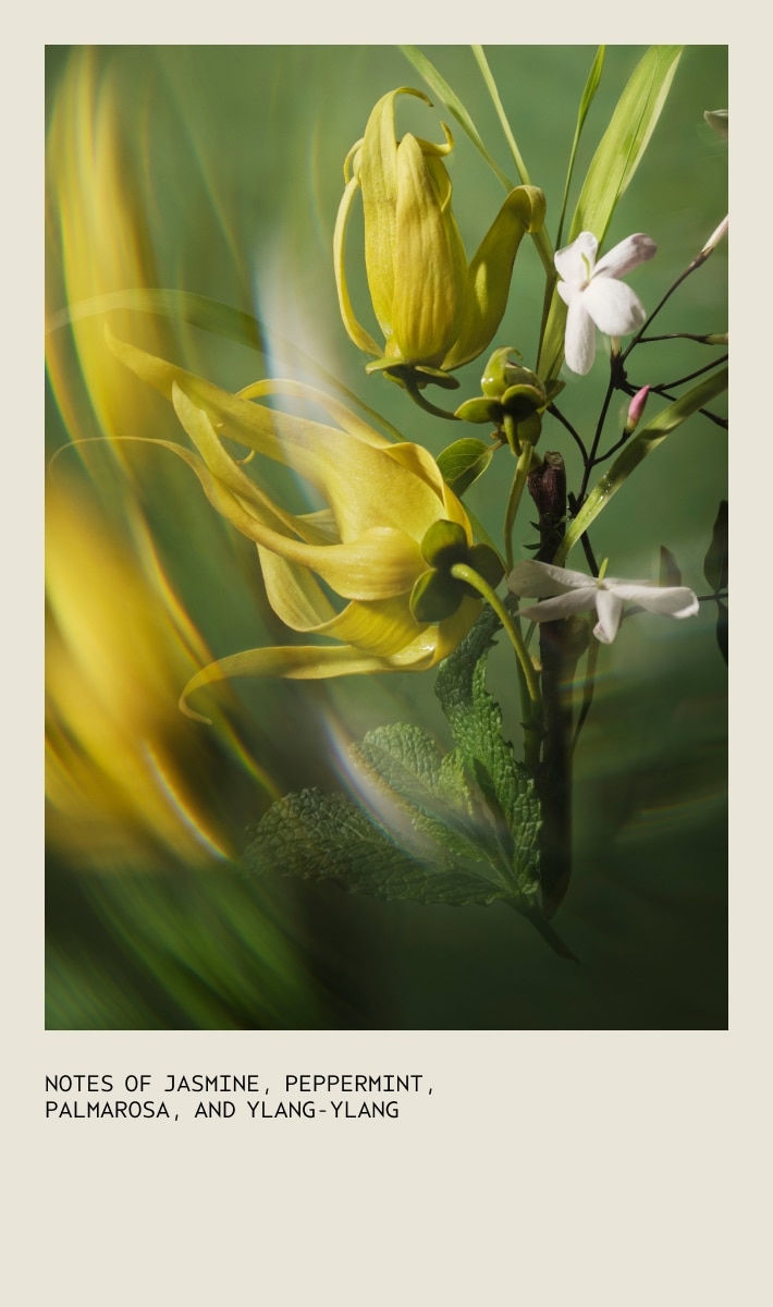 Pure Abundance™ Volumizing Conditioning Rinse