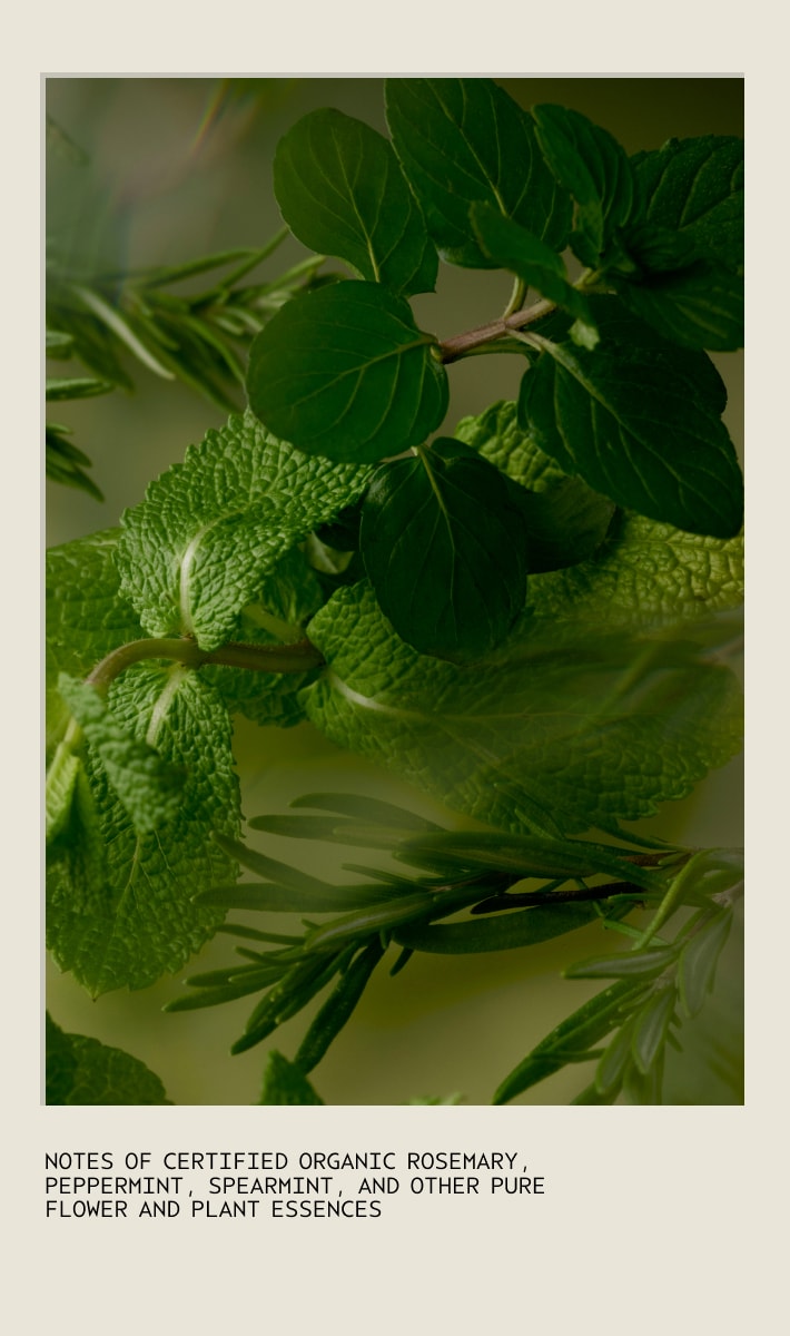 Rosemary Mint Foaming Hand Wash