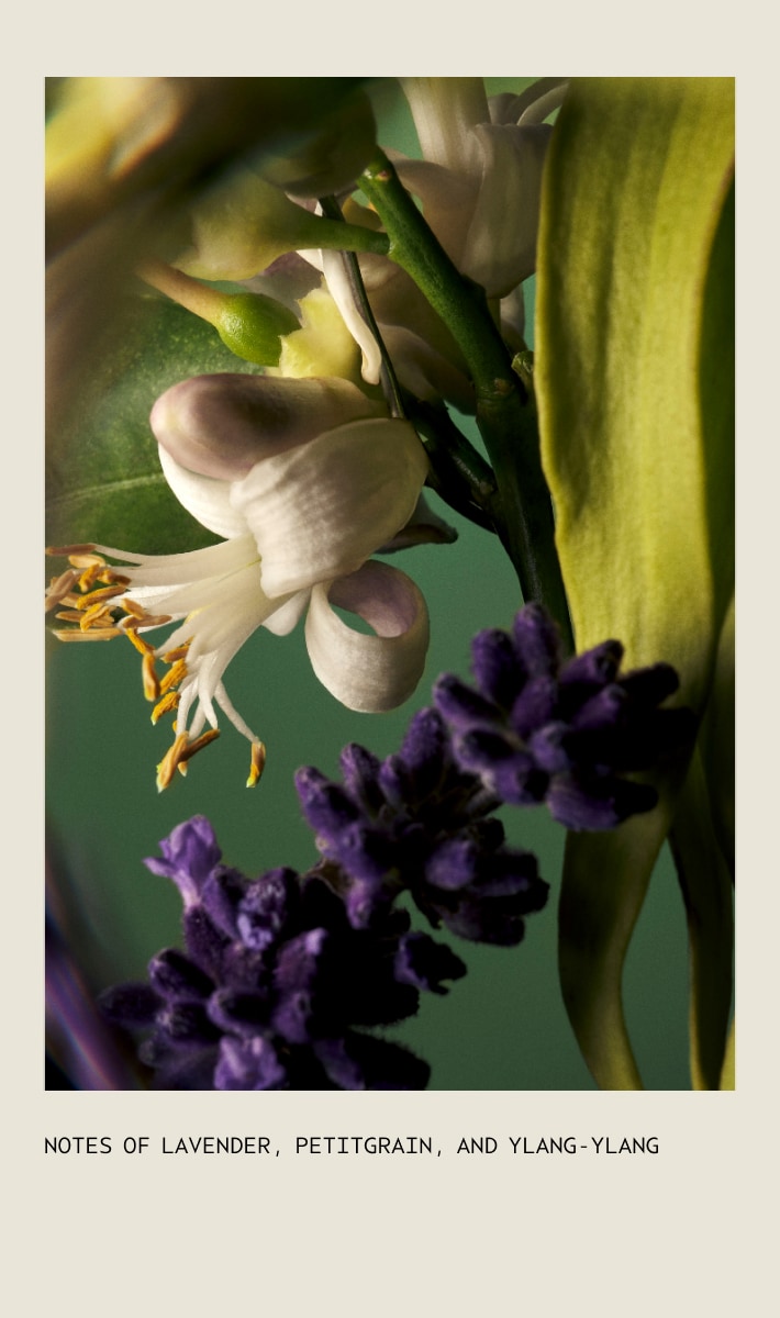 Tousle Texture Dry Texture Spray