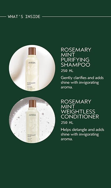 Gift of Transformation Hair Care & Styling Icons Set