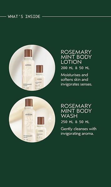 Gift of Awakening Rosemary Mint Body Set
