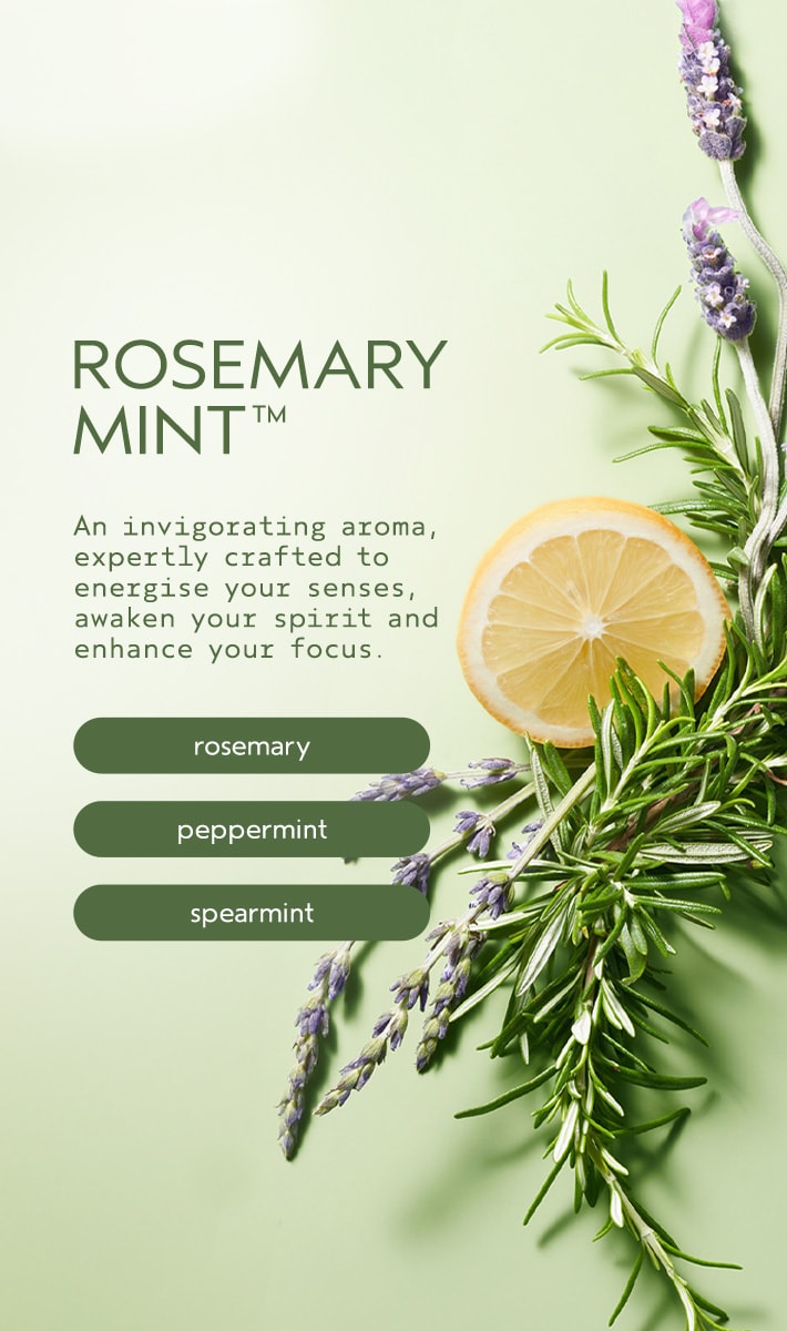 rosemary mint hand and body wash
