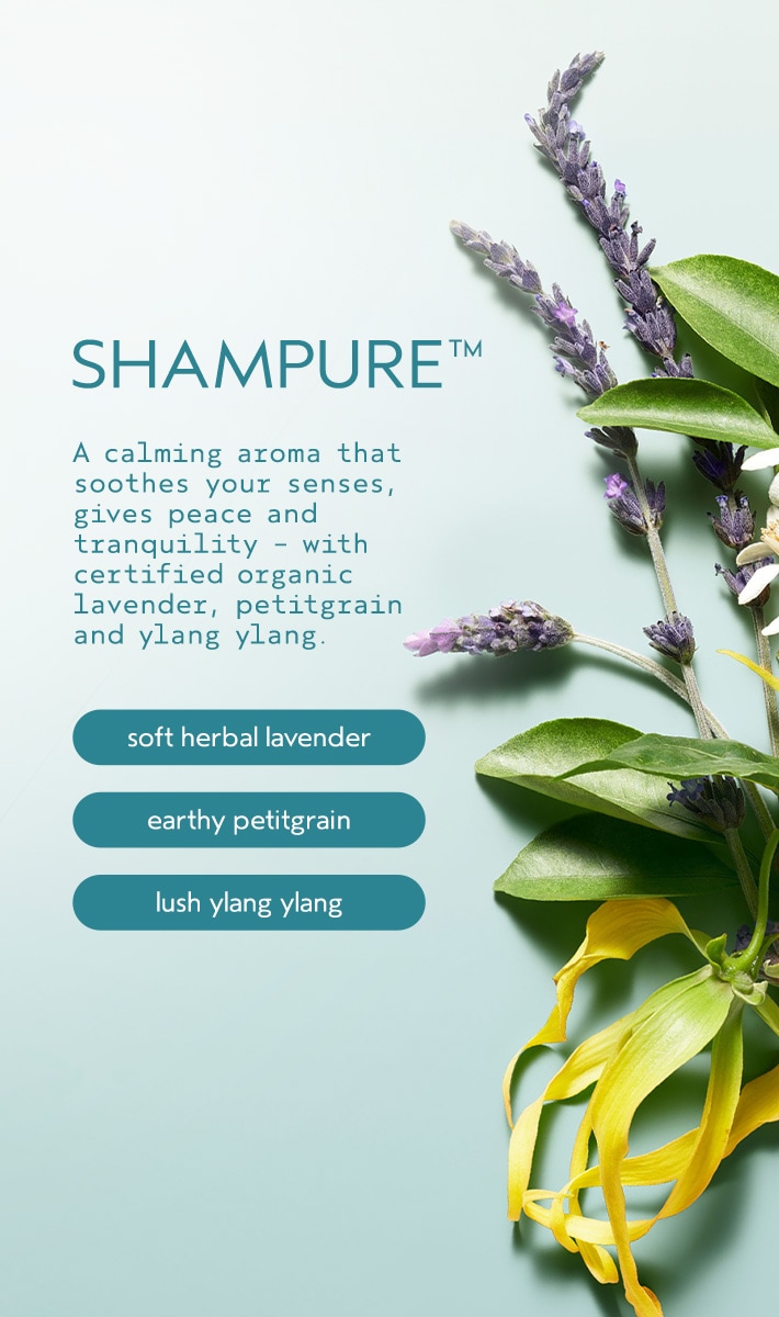 shampure<span class="trade">™</span> hand and body wash