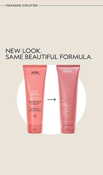 nutriplenish<span class="trade">&trade;</span> conditioner light moisture