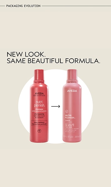 nutriplenish™ shampoo deep moisture