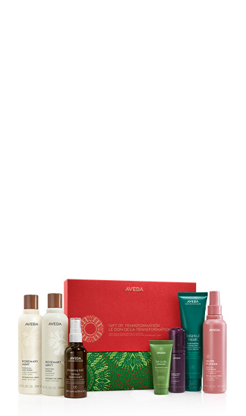 Gift of Transformation Hair Care & Styling Icons Set